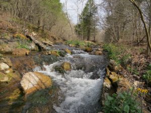 State Parks